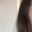 동백약국 | 푸석한 머릿결 살리는 동백오일 무색소 헤어에센스 사용법