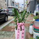 진광전력 네이버블로그