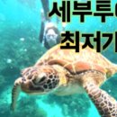 세부존투어자유여행