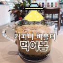 커피니 버블티 ★ 흑설탕 버블티 안양점에서 사먹은 솔직 후기