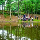 서울탑동초등학교 이미지