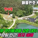 진산면사무소 이미지