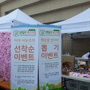 꽃길만 걷게 해줄'개' 이미지