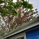 풀빛둥지펜션 이미지