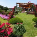 편백하우스 이미지