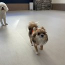 똑독트레이닝스쿨 이미지