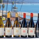 샌타바바라 | 미국 LA여행 근교 산타바바라 와이너리 투어 추천 내돈내산 후기 및 가격, 최저가 예약 방법