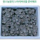 한스농원