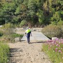 강매동 석교 이미지