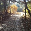 마주본농장