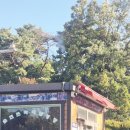 ​[순천 여행] 아이와 가볼 만한 곳 추천! 타임머신 타고 떠나는 '순천 드라마촬영장' 대만족 후기 🎬✨