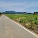 복터공인중개사사무소 이미지