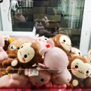 몰랑뽑기방 이미지