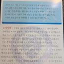 코로나 백신 후기 / 코로나백신 예약 / 인후염, 인후통, 목감기, 코감기, 가래, 오한, 고열....