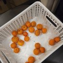 호텔 더엠(Hotel the M) 이미지