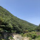 천하장사가든 이미지