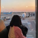 나비스호스텔 이미지