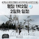 석주파크 | 평창여행] 1박2일 평창여행코스 2일차 일정 ❄️ 휘닉스파크 관광곤돌라 / 다키닥팜 / 돌멩이 카페 / 광천선굴