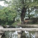 유림문화 이미지