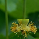 천생연분마을 이미지