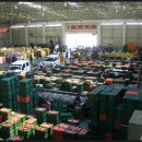 안동청과 이미지