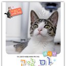 오 마이 캣 이미지