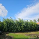 노고록이 이미지