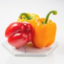 슬롯프리게임 이미지