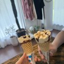 스테이노은