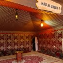 (주)바이크트립 | 두바이 여행 11월 12월 날씨 사막투어 사파리 추천 후기 복장