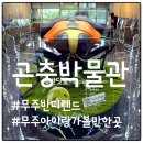 무주곤충박물관 | 무주 반디랜드 곤충박물관, 어른도 아이도 즐거웠던 관람 후기