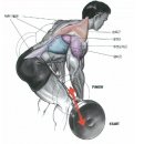 디럭스짐 이미지