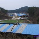 새싹목장 이미지