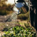 참푸른농장 이미지