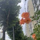 어사화ㅡ자유로운 영혼의 현실 /오정순 이미지