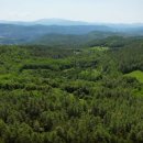 숲이그린집 이미지