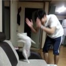 전주 2종 소형 시험, 면허학원 후기 ..! (인생의 큰 도전이었던)