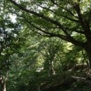 감악산 물맞이길(심신도량 하는 길) 이미지