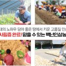 백년농산 네이버블로그