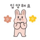 카라인테리어