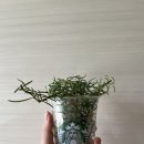 (주)허브코 이미지