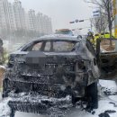 삼성대로 이미지