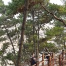속동전망대펜션