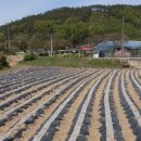 지탄농장 이미지