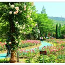 분수공원 이미지