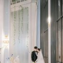 W.9_ 색감예쁜 본식스냅 이플스냅(Epple) 계약후기
