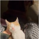 자유로운 사색가 이미지