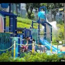 백일홍어린이공원 이미지