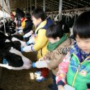 요라파영농조합법인 이미지