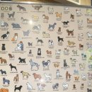 말랑말랭 이미지